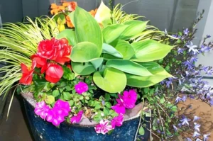 Vibrant mixed flowers in a ceramic pot.