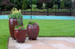 Tall planters beside grass and sports court.