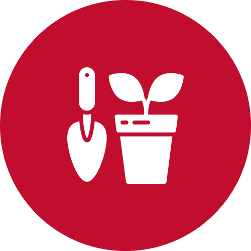 Container Gardens