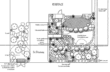 Landscape design blueprint with labeled plants.