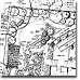 Landscape architectural plan with plants and pathways.