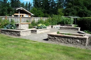 Raised garden beds in a sunny backyard.
