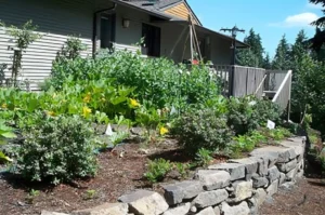 House with lush garden and stone wall.