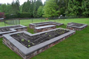Raised garden beds on a grassy lawn.