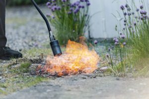 Gas powered weed burner.