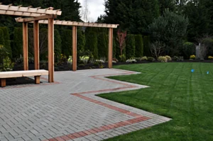 Garden path with pergola and lawn.