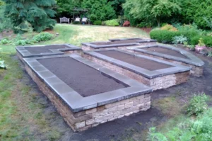 Raised garden beds in a landscaped yard.