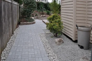 Paved garden path beside shed and plants.