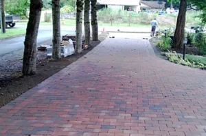 Brick driveway with trees and worker.