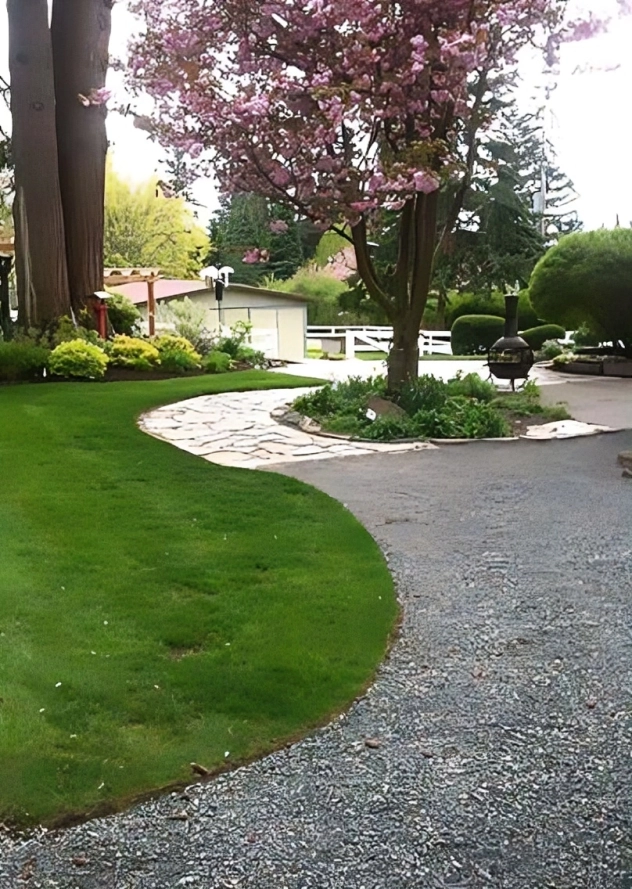 Garden path with blooming pink tree.