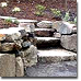 Stone steps with surrounding garden plants.