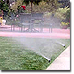 Sprinklers watering a green lawn.