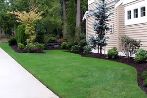 House exterior with landscaped green lawn.