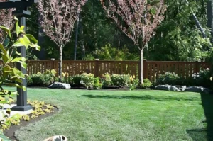 Lush garden with trees and wooden fence.