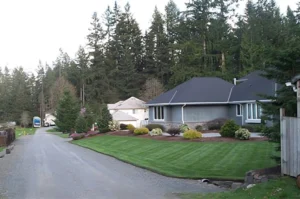 Suburban house with lawn and trees.