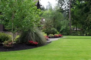 Lush garden with green lawn and shrubs.