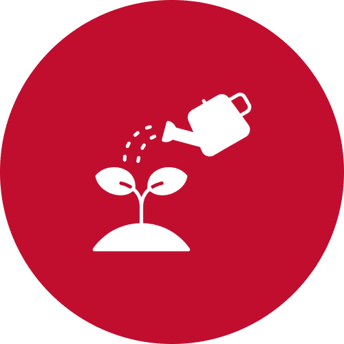 Plant Establishment
