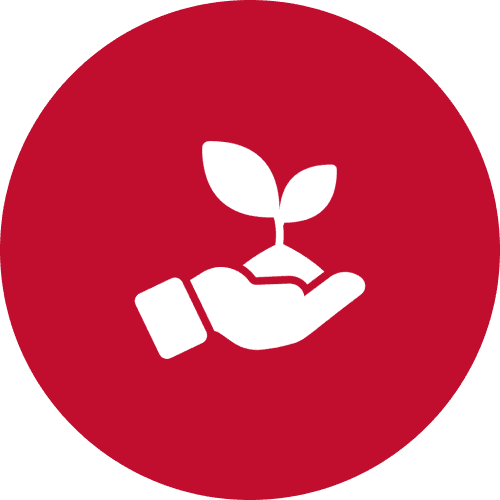Plant Selection