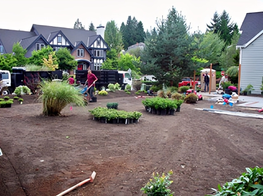 Garden landscaping in progress with plants and tools.