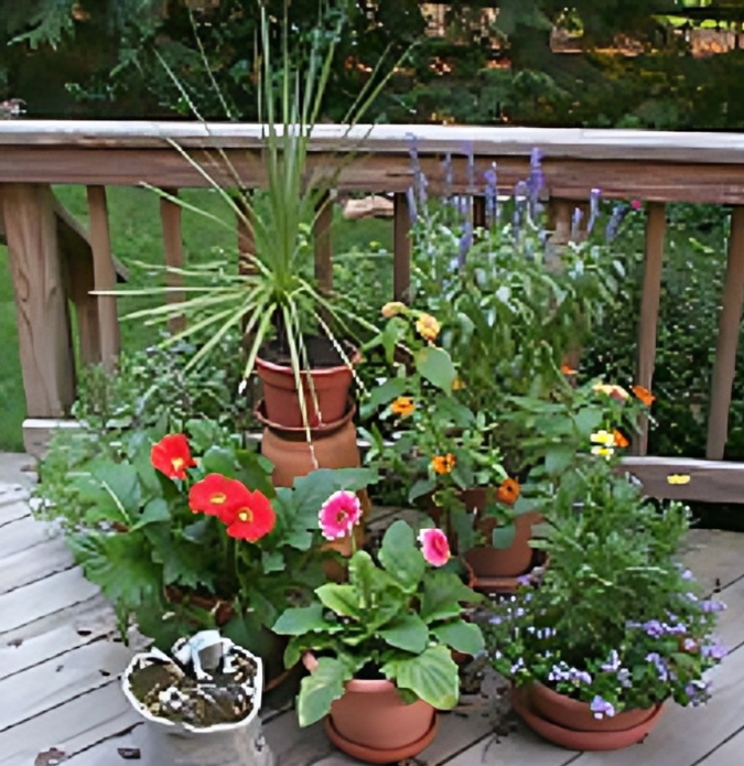 Potted flowers and plants on wooden deck. Potted flowers and plants on wooden deck.