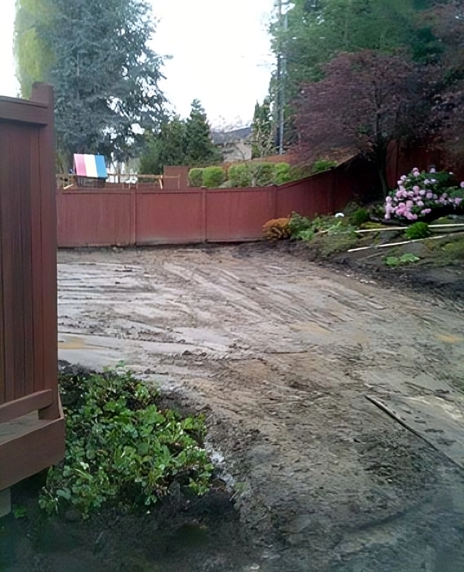 Muddy backyard with wooden fence and plants.
