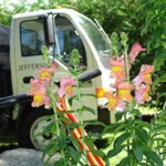 Flowers in front of a parked truck. Flowers in front of a parked truck.